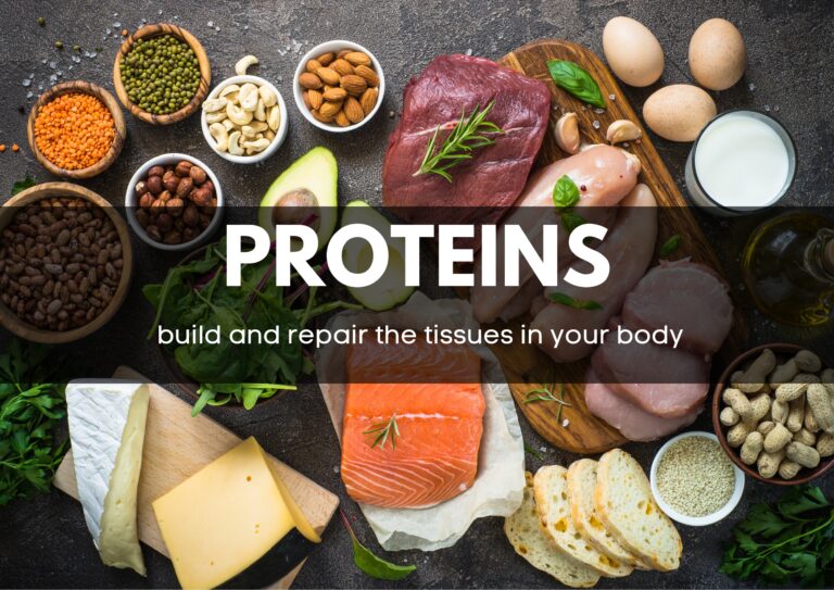 protien nutrients