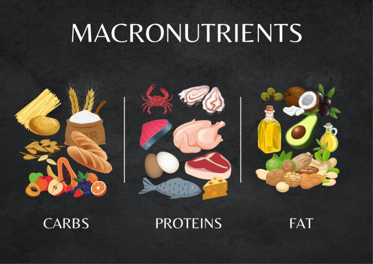 macronutrients chart